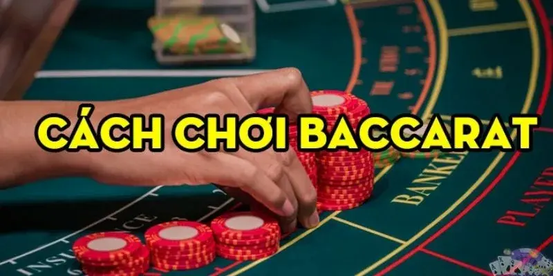 Cách chơi Baccarat