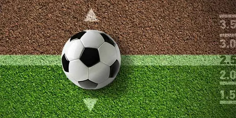 Chi tiết về cách đọc cược châu Âu tại nhà cái 23Win