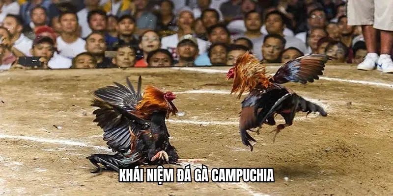 Khái niệm đá gà Campuchia